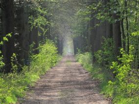 Groen Manifest Opsterland