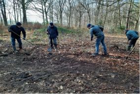 Natuerferiening Bakkefean helpt de insecten!